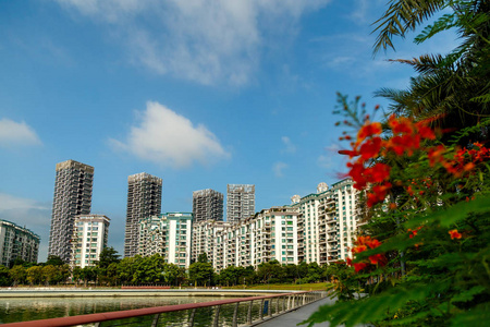 风景如画的住宅区图片