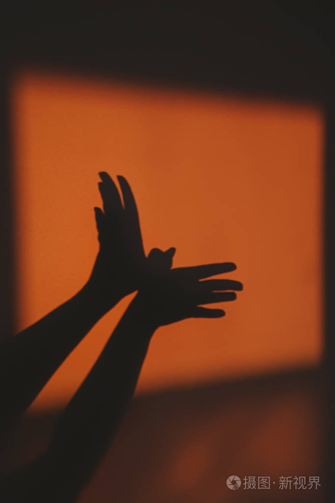 从墙上的阳光中抽象出鸟的影子轮廓