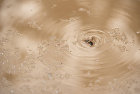 泥潭图片-泥潭素材-泥潭插画-摄图新视界