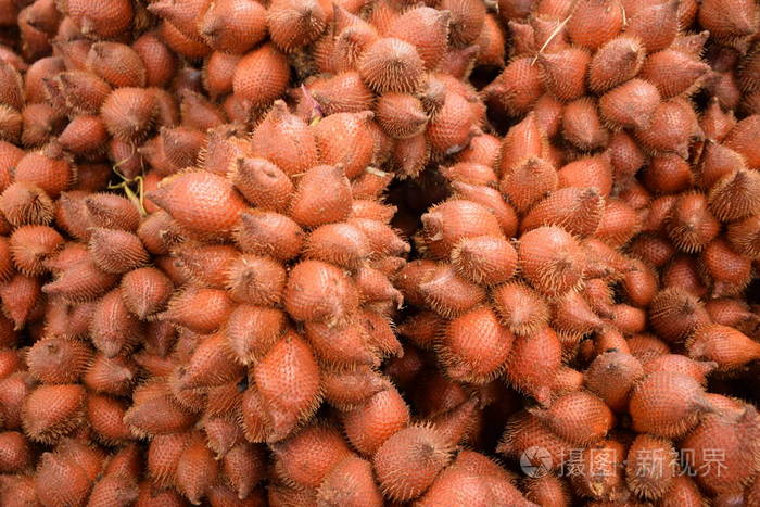 营养物 植物 食物 花园 营养 特写镜头 颜色 维生素 教育