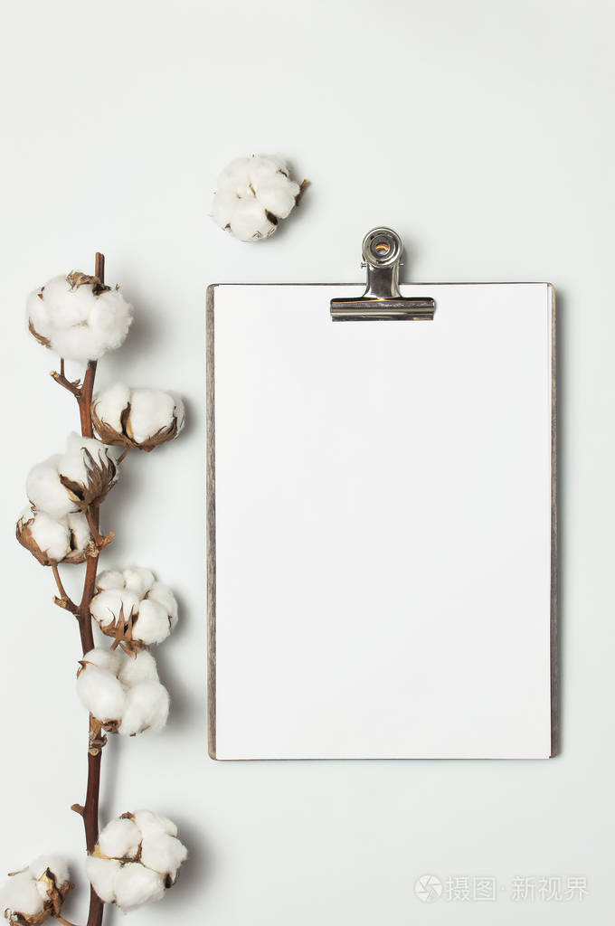 白纸灰色背景上的棉支顶视图平铺复印空间装饰植物枝花卉构图创意桌面