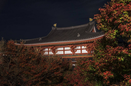 秋天夜晚的日本历史建筑图片