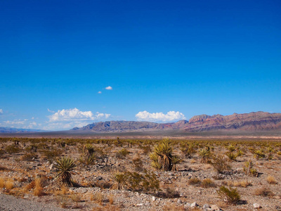 拉斯维加斯内华达州内华达州拉斯维加斯外的沙漠照片