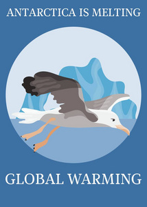 海报气候保护信天翁在飞行图片