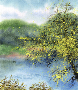 春天的图片景色画河边图片
