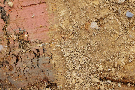 黄壤红褐色粘土和黄壤的地面开挖照片