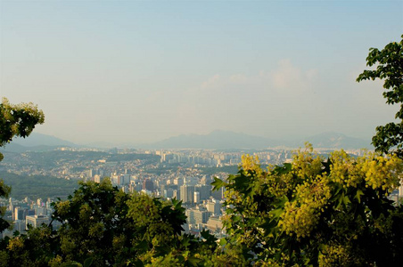 汉城夏季街景图片