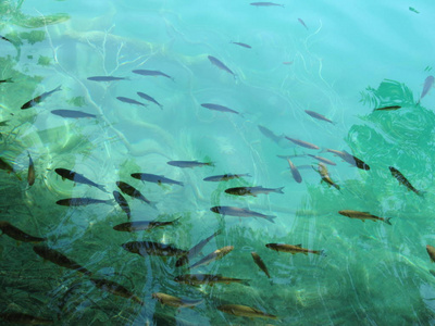 公园里的污水管和池塘新加坡海滨的聚光灯和滨海金沙湾酒店夜景煮鸡