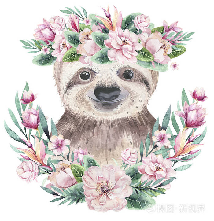 一张有树懒宝宝的海报 水彩卡通懒热带动物插图 丛林异域夏日印花 照片 正版商用图片2o4s7n 摄图新视界