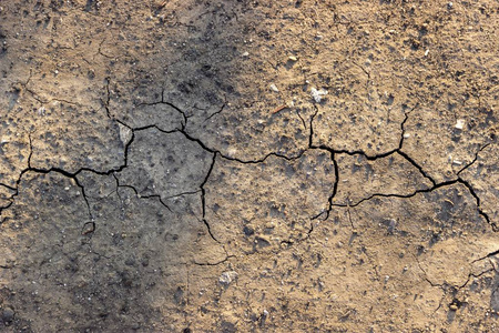 缝隙光太阳光稍微落在干地上的收缩裂缝照片