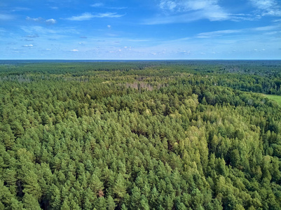 俯瞰比亚洛维耶扎森林的美丽全景,这是曾经横贯欧洲平原的原始森林