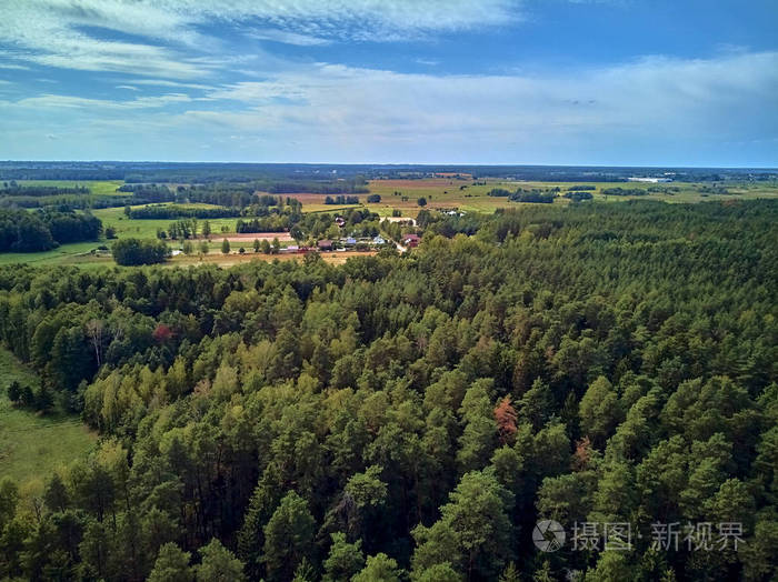 欧洲最大的森林图片