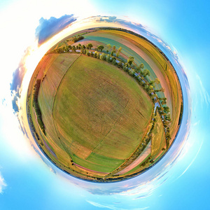 这是曾经横跨欧洲平原的巨大原始森林的最后也是最大的部分之一照片