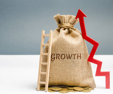 高绩效业务的概念.职业阶梯.增加利润和收入.盈利能力.成功.资本增长.