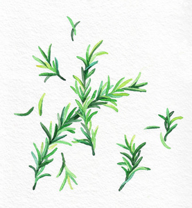 调料水彩图片-调料水彩素材-调料水彩插画-摄图新视界