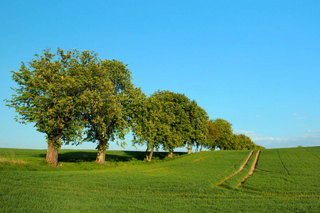 风景画 地形风景 风景画 乡村风景画 地形美丽的淡蓝色天空如画风景
