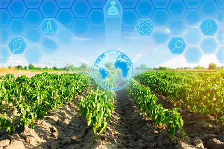 农业,农业,生态友好型农产品.农田景观.农业创新.高科技和研究.