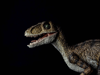 黑底迅猛龙迅猛龙指已提到的人恐龙3英语字母表中的第四个字母ren英语