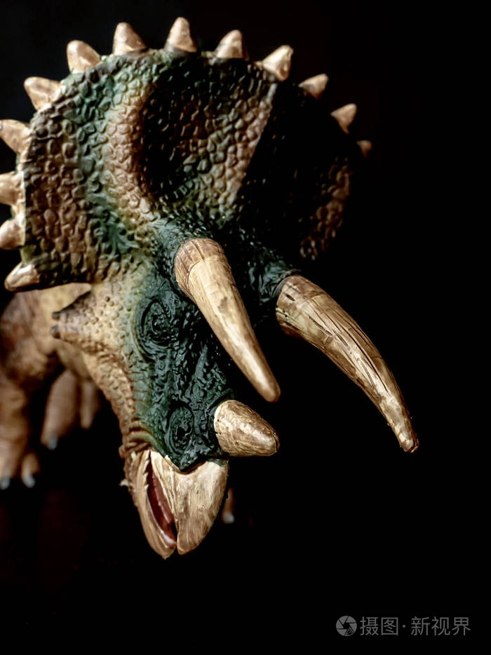 黑色背景的恐龙三角龙