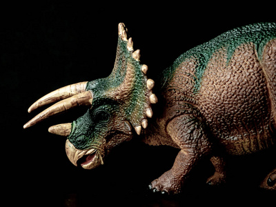 黑色背景的恐龙三角龙照片