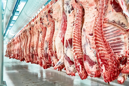 牛肉工厂屠宰场肉类加工厂,切大理石牛肉.照片