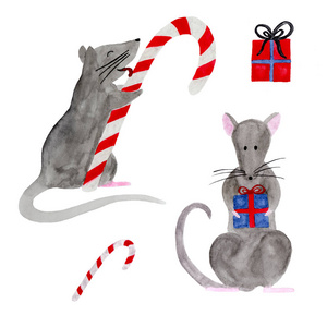 圣诞老鼠水彩套装图片