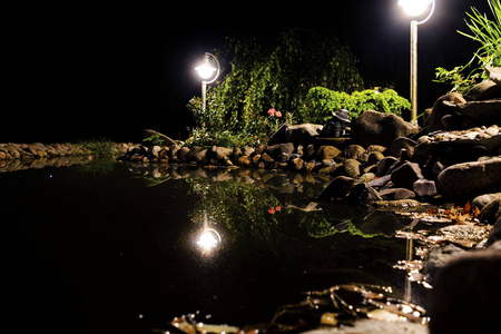 夜晚照亮了池塘的岸边.花园鱼塘.自然景观上的花园池塘.