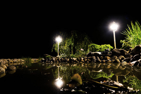 夜晚照亮了池塘的岸边.花园鱼塘.自然景观上的花园池塘.