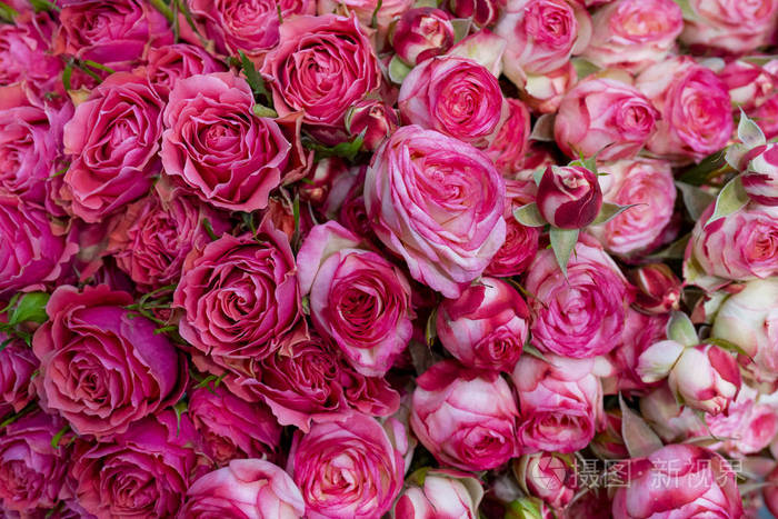 浪漫 花的 粉红色 情人 礼物 花束 自然 美丽的 植物