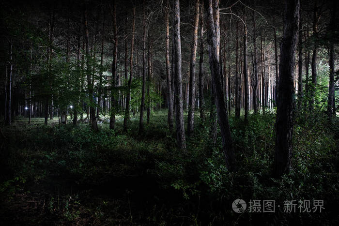 晃晃斑_晃晃斑性格配招_晃晃斑怎么进化