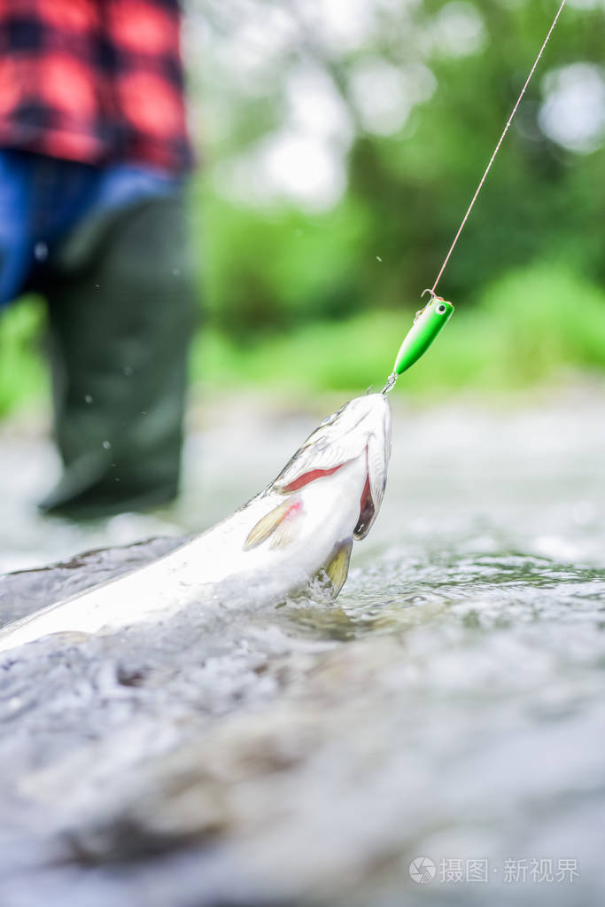接得好.飞钓鳟鱼.户外休闲娱乐.僵局和绝望.鱼和鳟鱼.鱼钩上的鱼
