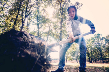 铁锹铲地噪音图片