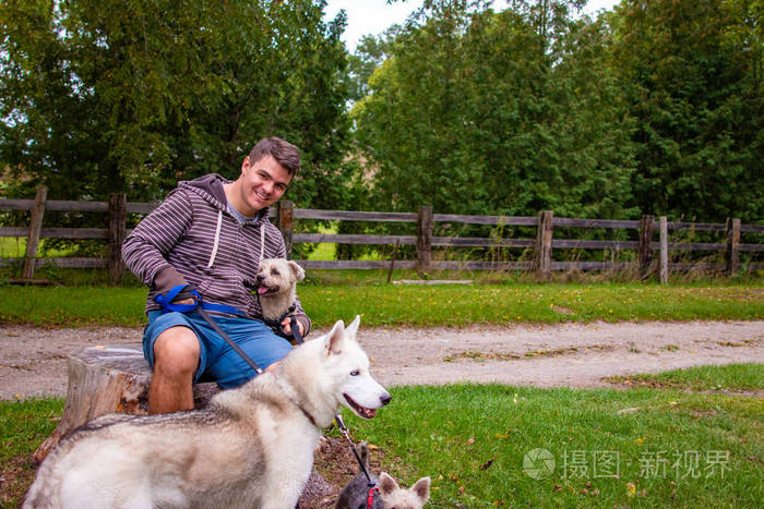 三条狗和一个人坐在地上