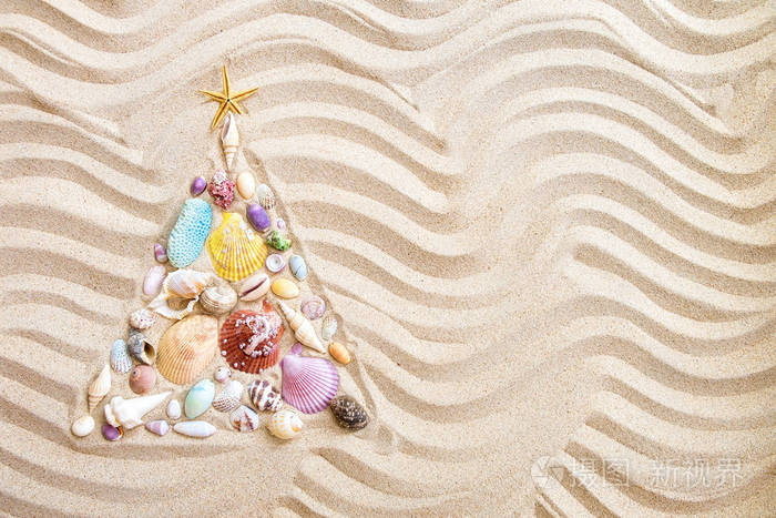 Christmas tree  made from shells and corals on beach sand, flat 