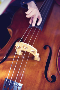 低音提琴图片