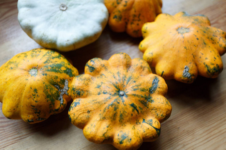 黄白相间的花图片大全