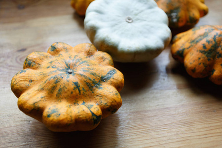 黄白相间的花图片大全