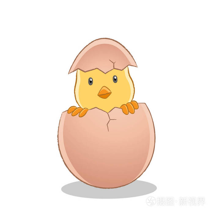 黄色复活节小鸡刚破蛋插图