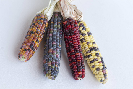 在秋天的五彩的蔬菜图片-在秋天的五彩的蔬菜素材-在秋天的五彩的蔬菜