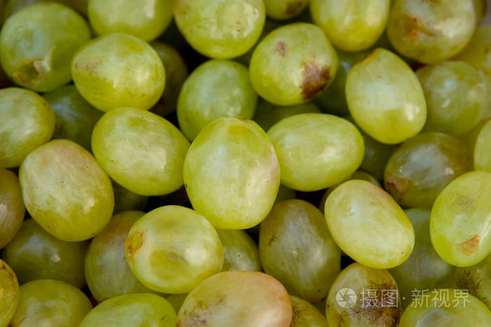 水果 集群 食物 农业 特写镜头 季节 回溯 酒厂 秋天