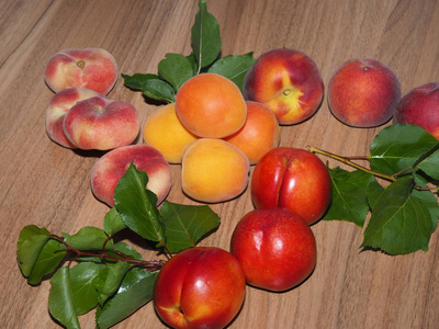 组的成熟杏子成熟的桃子和杏子放在木桌上照片