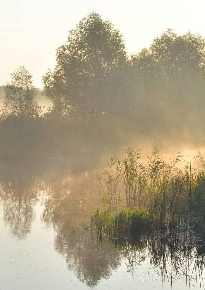 雾蒙蒙的早晨河上的黎明