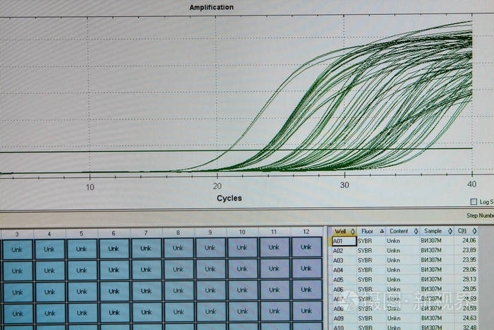 实时pcr反应的扩增曲线