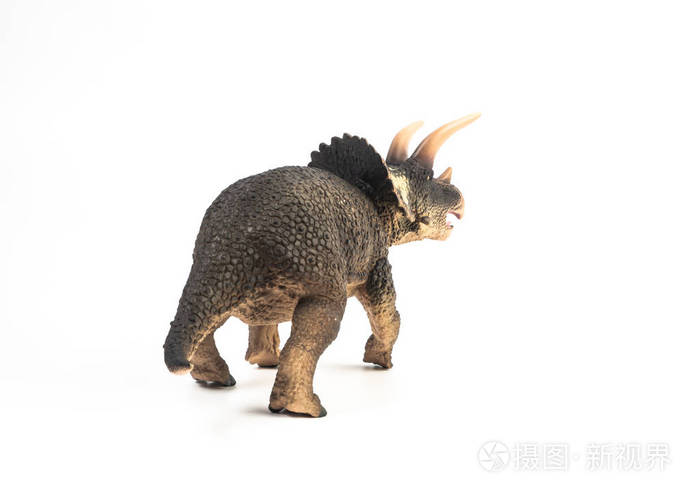白色背景的恐龙三角龙