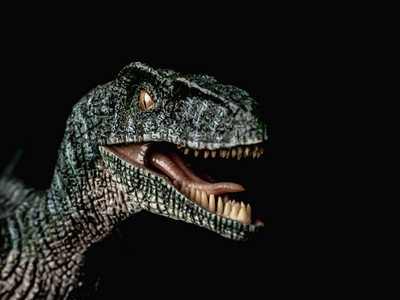 黑底迅猛龙迅猛, 捕食恐龙, 红过黑暗黑底迅猛龙黑底迅猛龙恐龙漂亮的