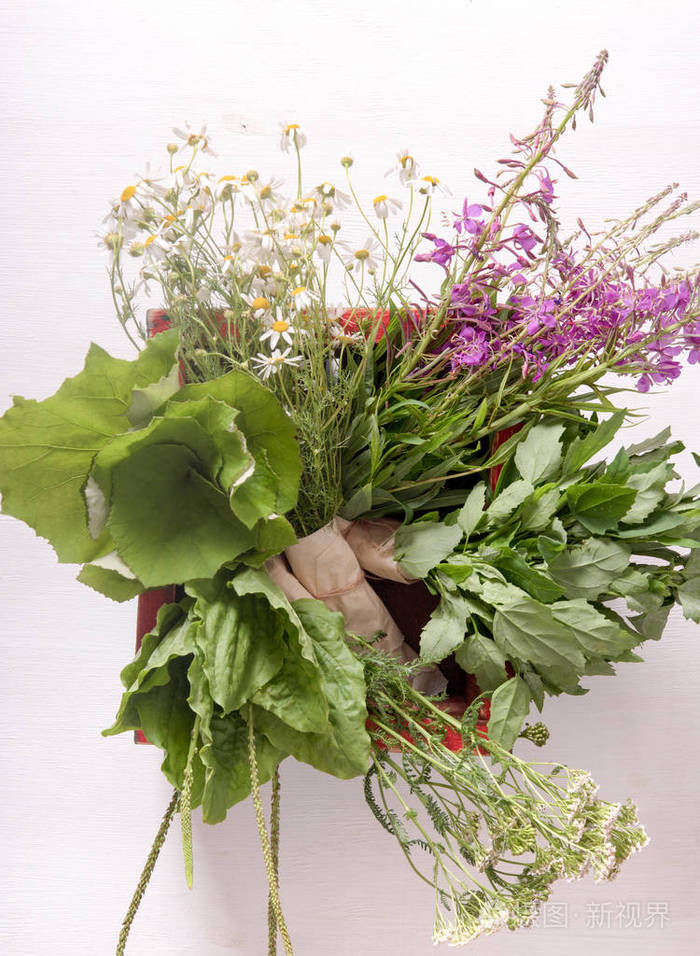 桌子上的盒子里抱着一大堆新鲜的药用植物