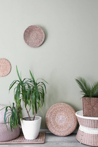 带室内植物的现代室内装饰图片