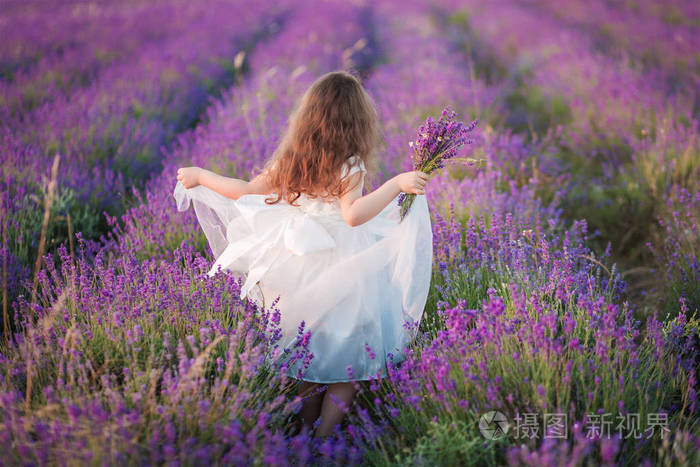 手捧薰衣草的女生图片图片