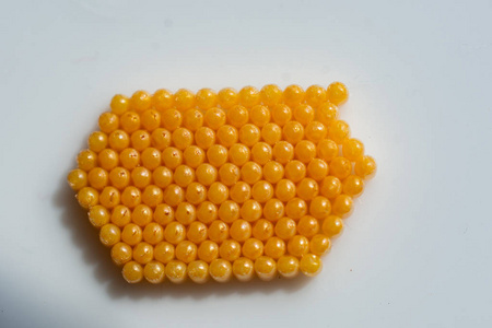 白色背景上的黄色虫卵照片