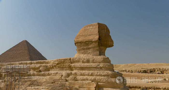 吉萨市的狮身人面像。埃及